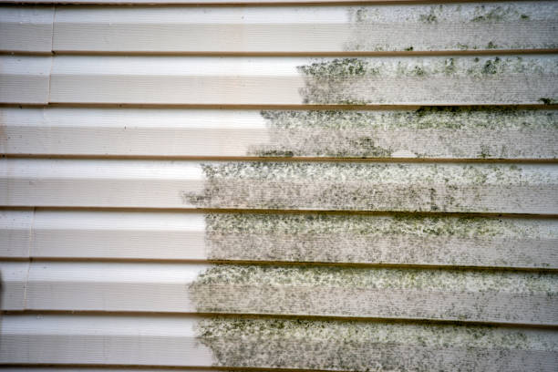 Affordable siding repair and maintenance services in Gleed, WA